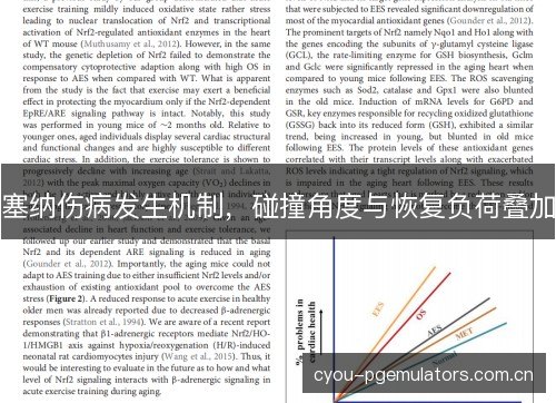 塞纳伤病发生机制，碰撞角度与恢复负荷叠加